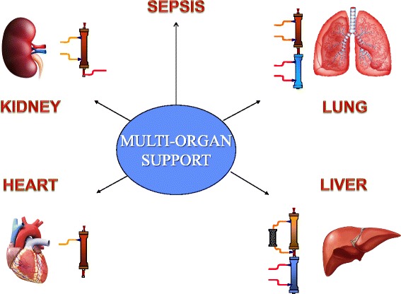 Fig. 2