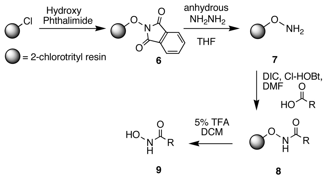 Scheme 2