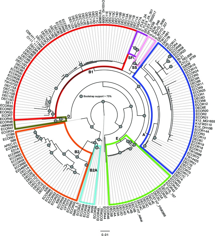 Fig 4