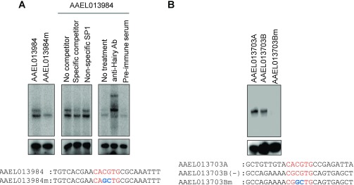 Fig. S6.