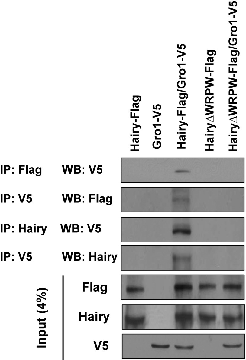 Fig. S5.