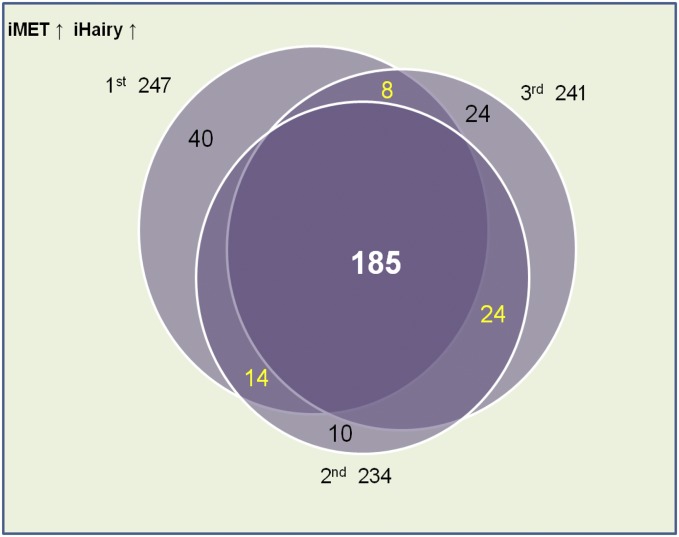 Fig. S2.