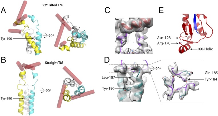 Fig. 3.