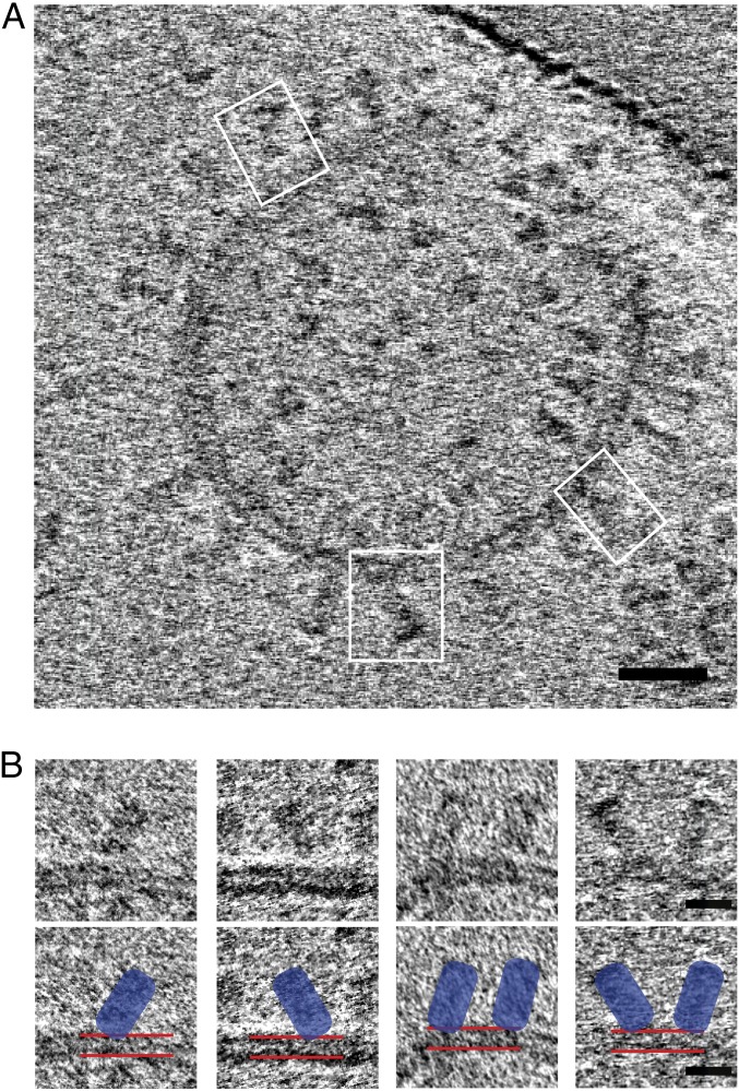 Fig. 4.