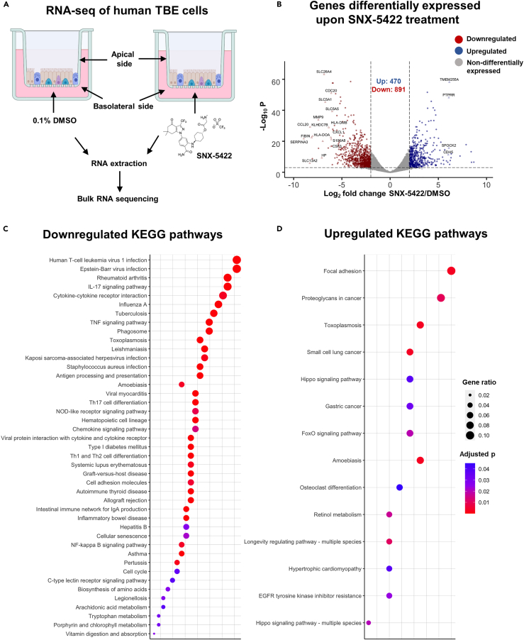 Figure 2