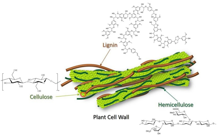 Fig. 10