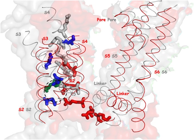 Fig. 1.