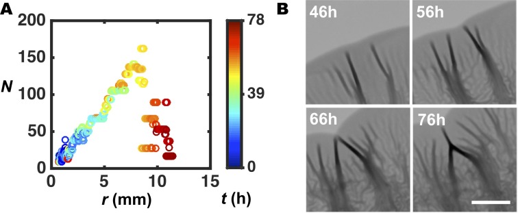 Figure 4—figure supplement 1.