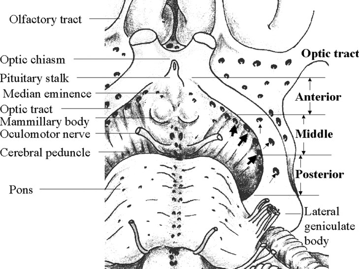 Fig 2.