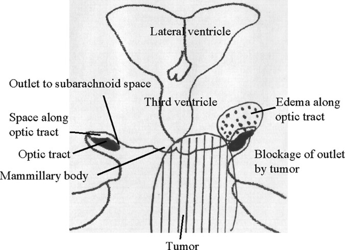 Fig 6.