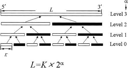 Figure  1