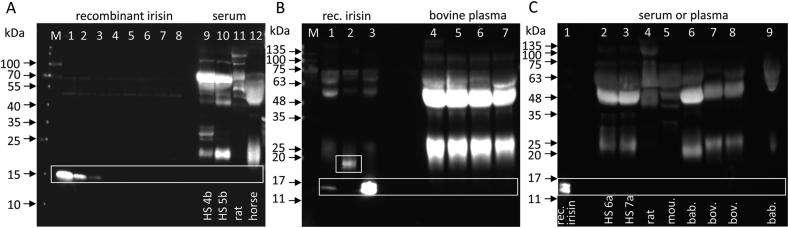 Figure 5