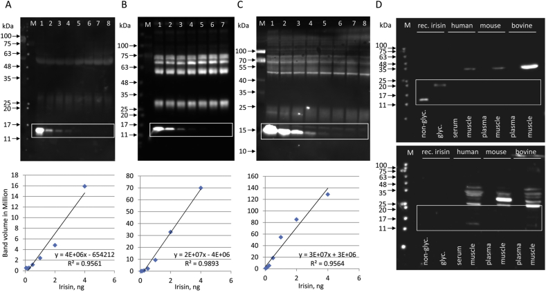 Figure 3