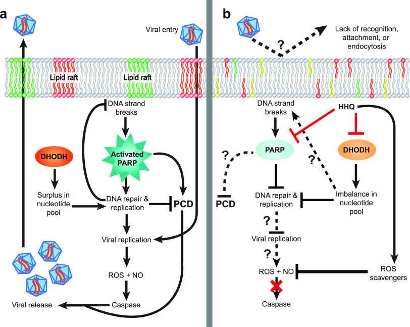 FIG 6