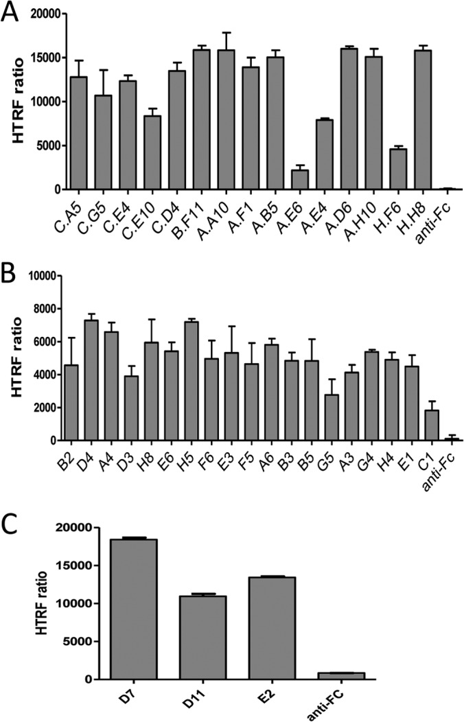 Fig. 2.