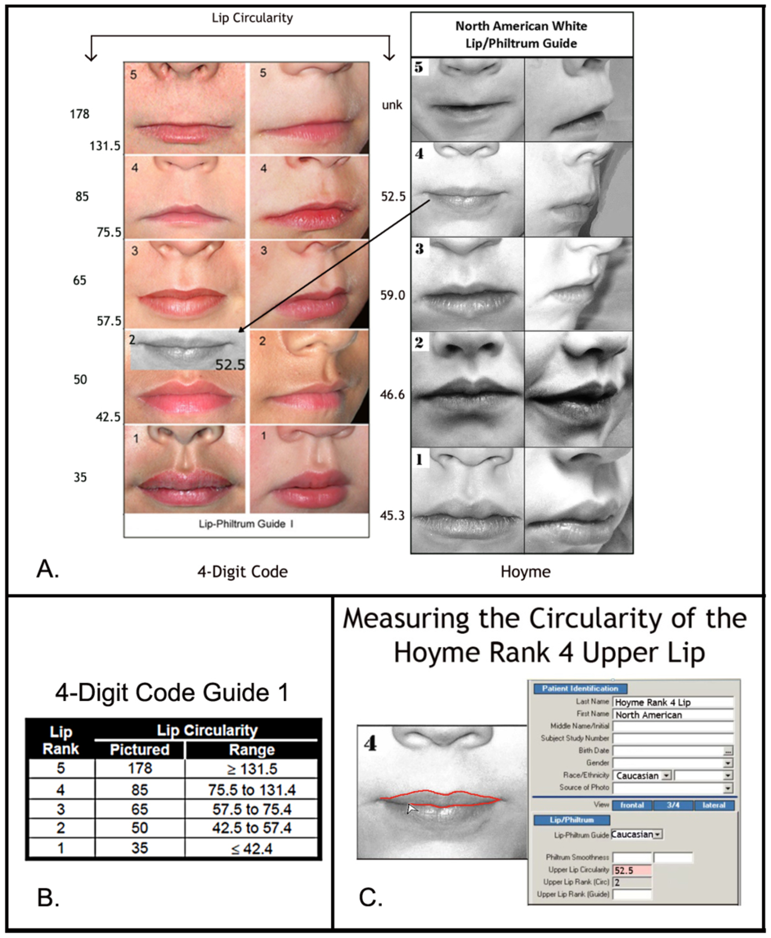 Figure 2.