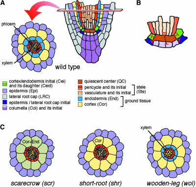 Figure 4.