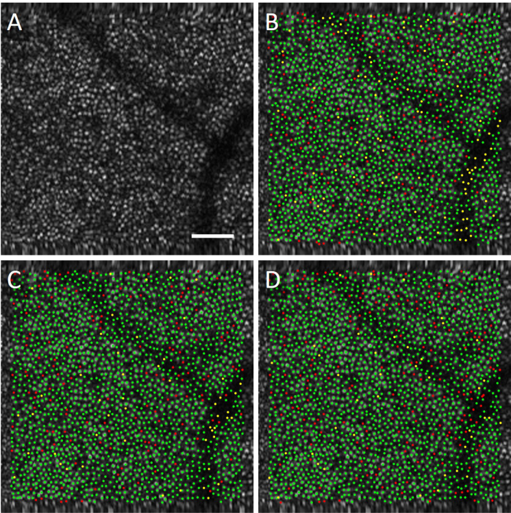 Fig. 3