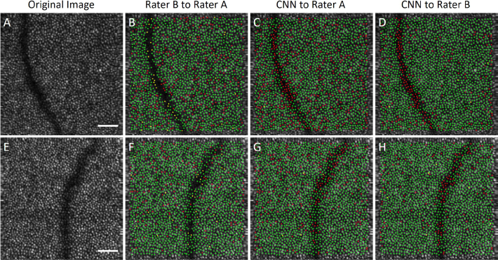 Fig. 4