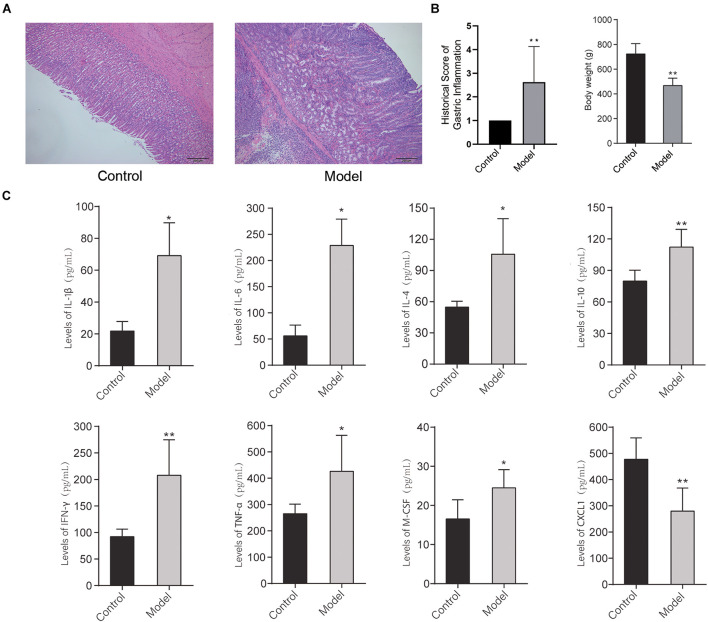 FIGURE 2