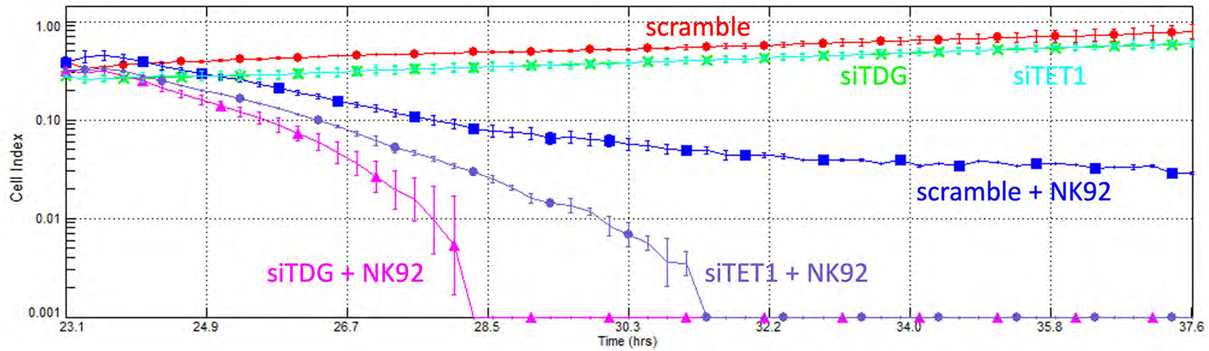 Figure 7 –