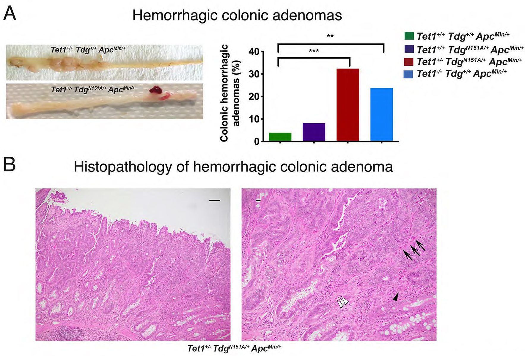 Figure 2 -