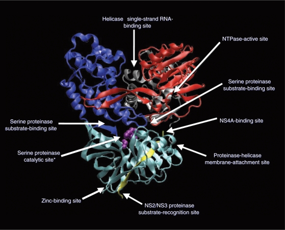 Figure 2.