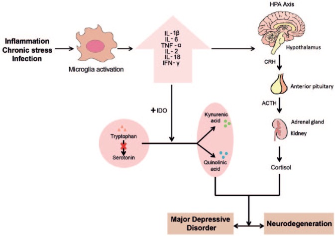 Figure 1.