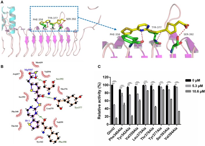 Figure 2