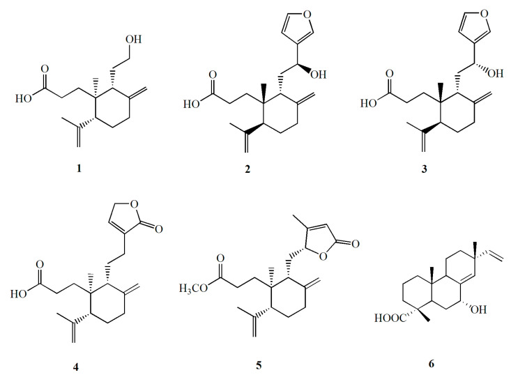 Figure 8