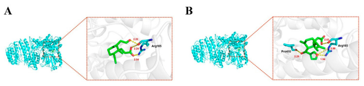 Figure 10