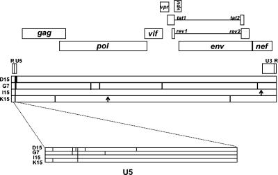 FIG. 4.