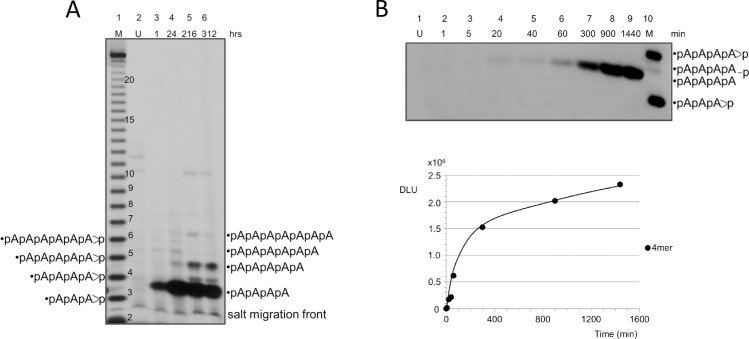 Fig 5