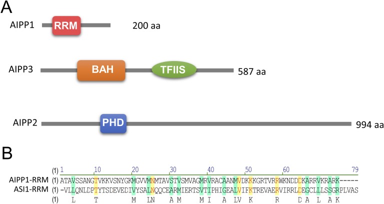 Fig. S3.