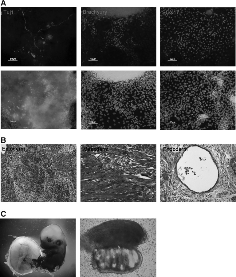 FIG. 7.