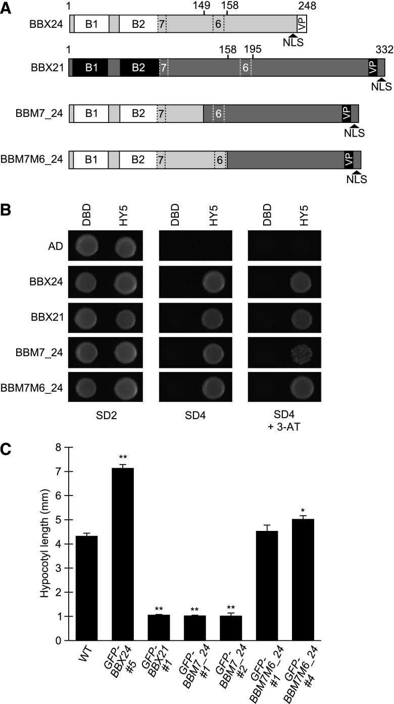 Figure 6.