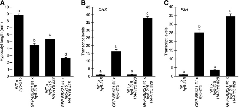 Figure 7.