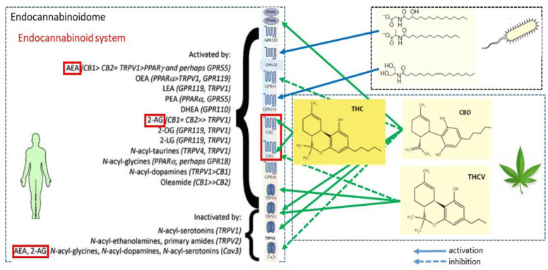 Fig. 27