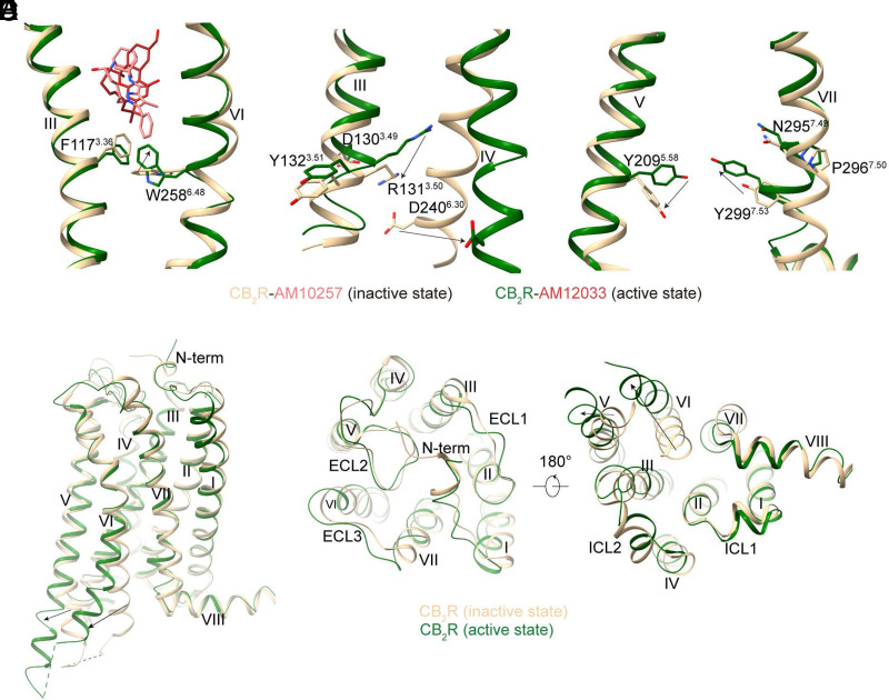 Fig. 12