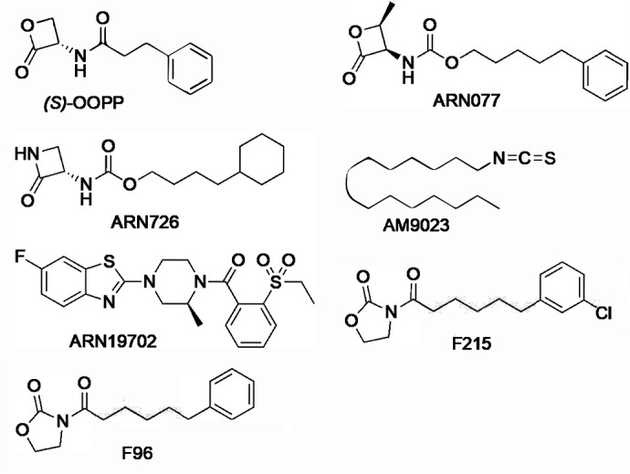 Fig. 24