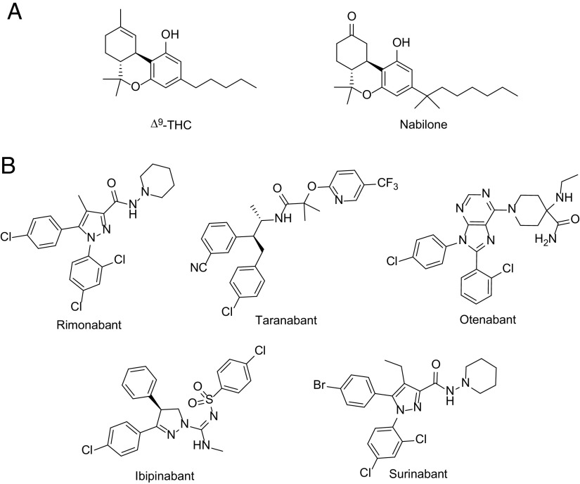 Fig. 13