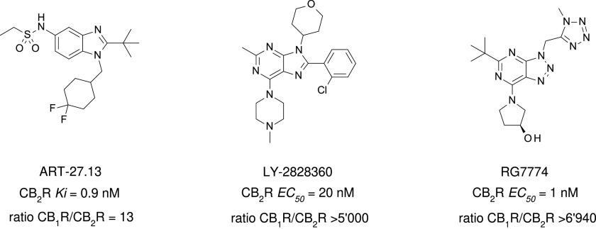 Fig. 18