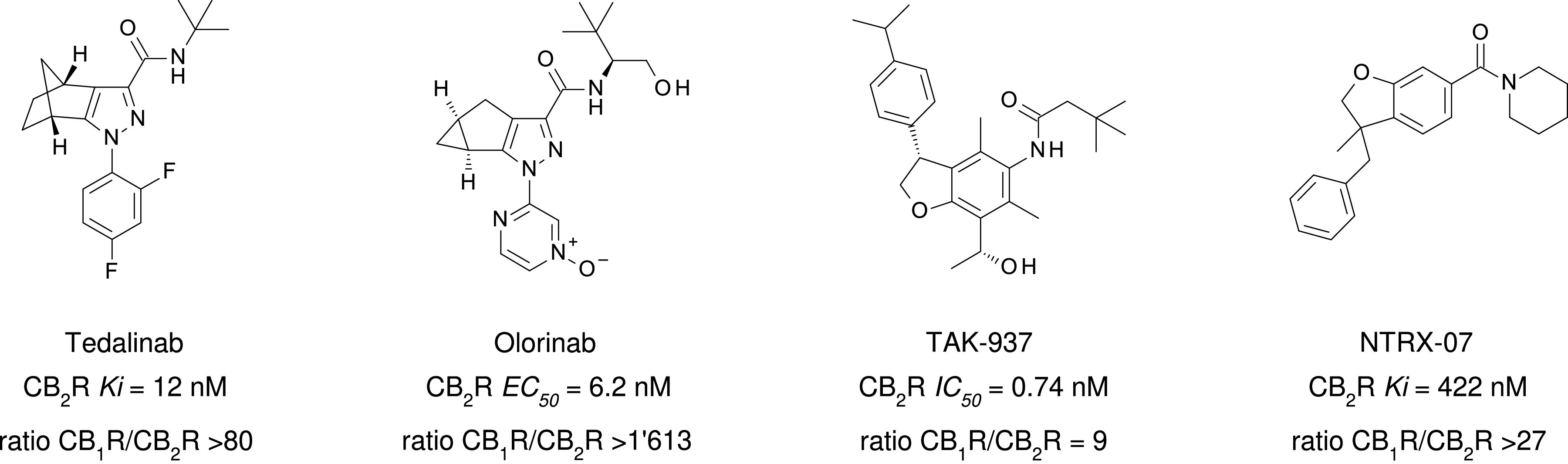 Fig. 19