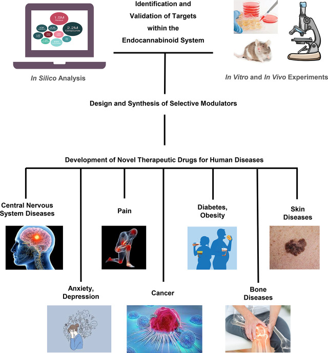 graphic file with name pharmrev.122.000600absf1.jpg