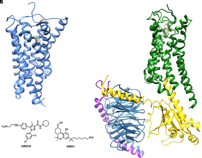 Fig. 10