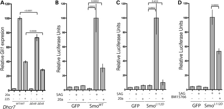 Figure 6.