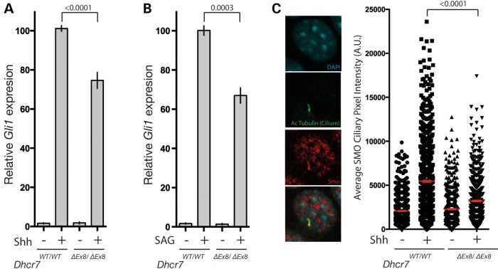 Figure 2.