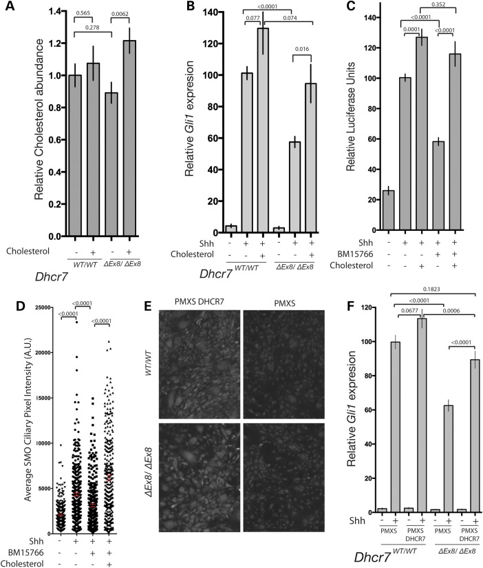 Figure 4.