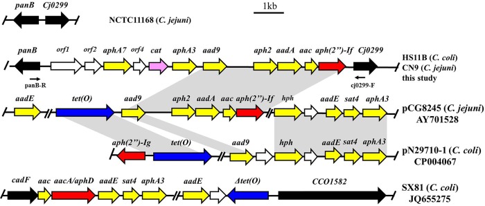 FIG 2