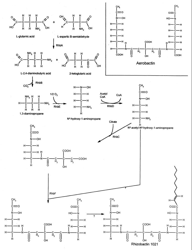 FIG. 8